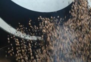 Read more about the article WHAT MAKES ROBUSTA REALLY IMPORTANT FOR A BLEND COFFEE?