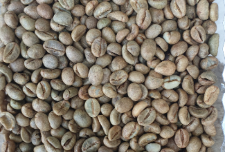 You are currently viewing “THERE IS SPECIALTY #ROBUSTA OR ONLY COMMODITY TYPE?”