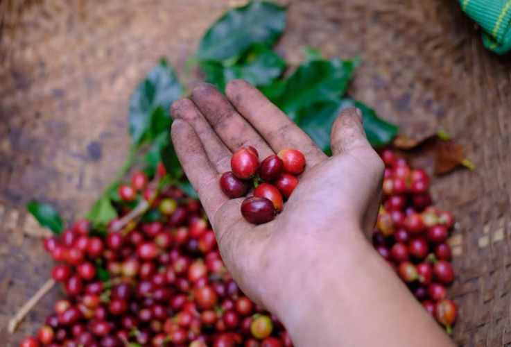 You are currently viewing WE ARE CHANGING!