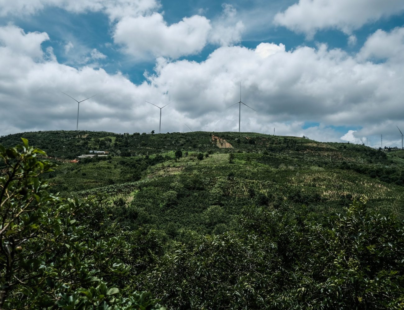 OurFarms-1